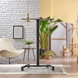 MPETAPT 28-Inch Mobile Standing Desk Adjustable