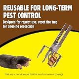 The Big Cheese Mole Tunnel Trap Two-Way Galvanised Steel Durable Weather-Proof view 4