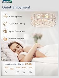 LEDIARY 20" Caged Ceiling Fan with Light, Small