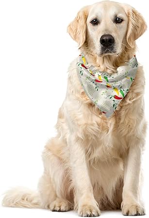 mexican dog bandana