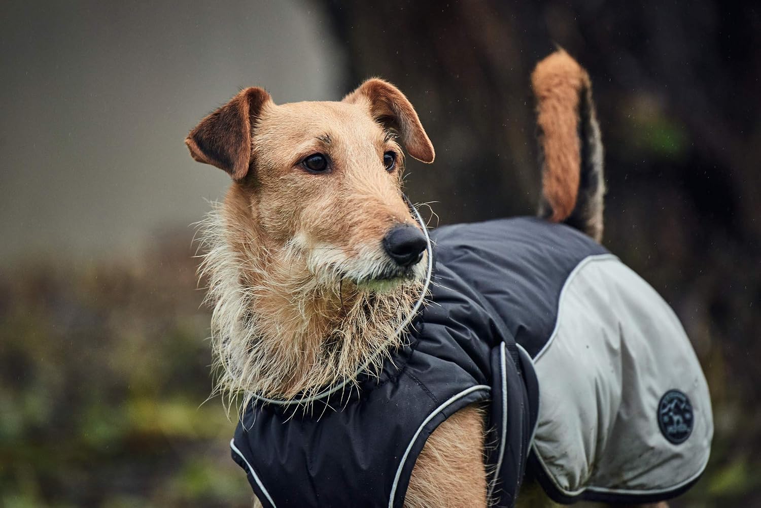 HUNTER Dog Coat Uppsala Cozy, 25 cm anthracite/grey, 4X-Small - Image 5