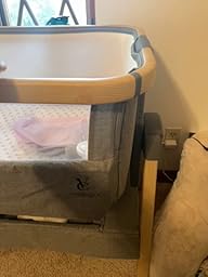 venice bassinet