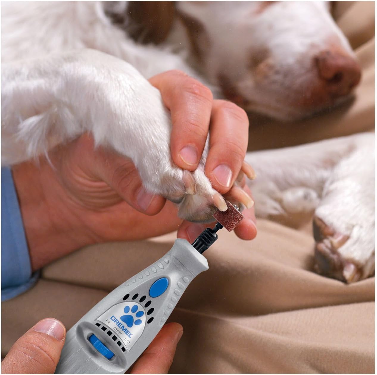 Dremel 7300-PT 4.8V Cordless Pet Dog Nail Grooming & Grinding Tool, Safely & Humanely Trim Pet & Dog Nails, Grey: Home Improvement