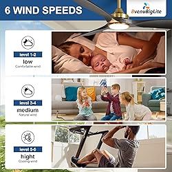 BvenuBigLite Ceiling Fan with Light Modern: 52 Inch