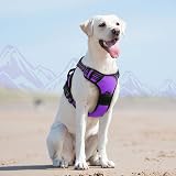 Eagloo Dog Harness Large No Pull Front Back Clips Reflective Purple L view 9