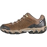 Oboz Men's Sypes Low Leather B-Dry Hiking Shoe
