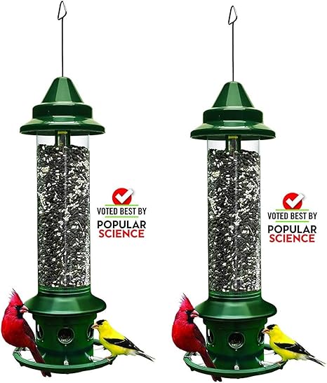 Amazon Com Squirrel Buster Plus 6 X6 X28 W Hanger Wild Bird