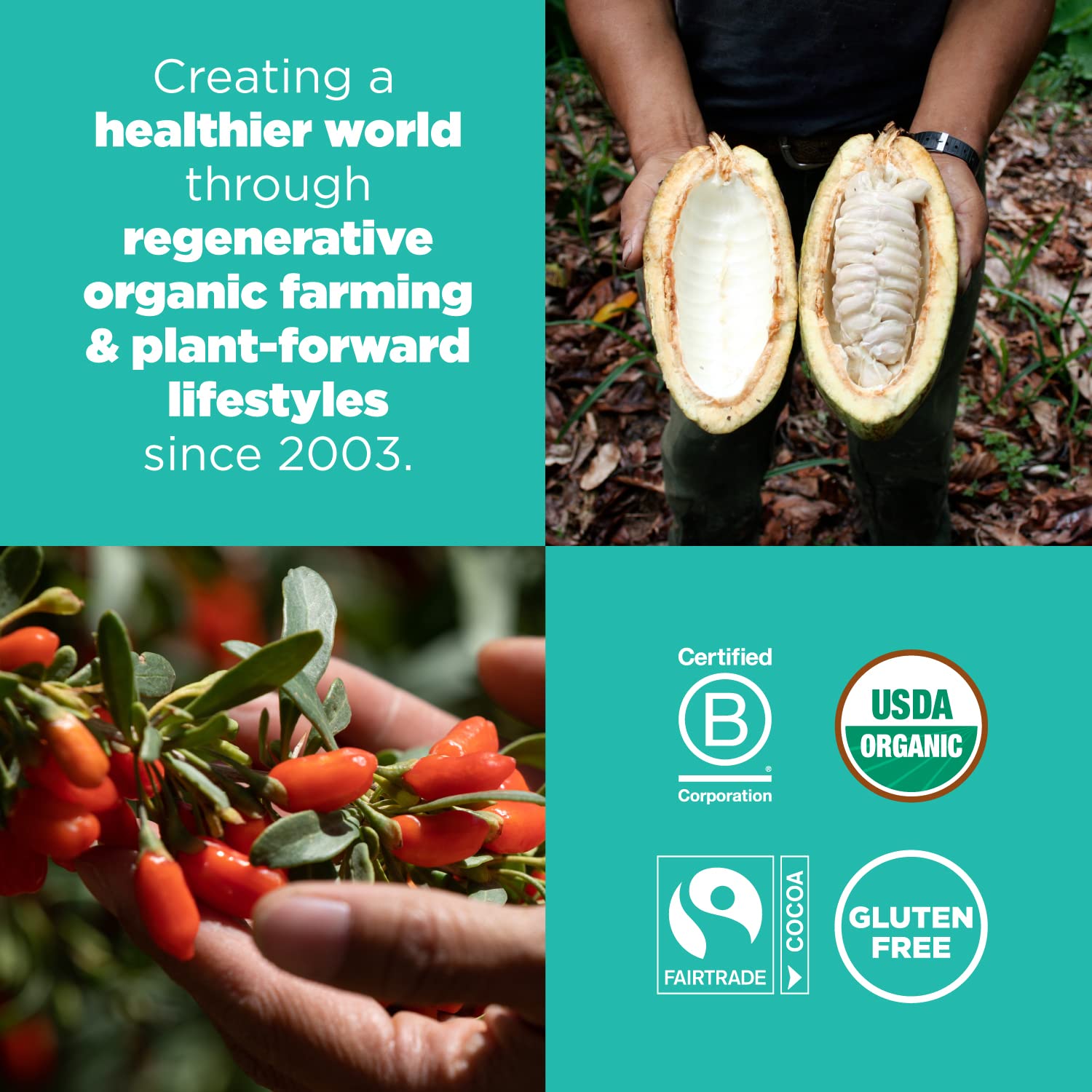 Navitas Organics Superfood Power Snacks, Cacao Goji, 16 oz. Bag, 23 Servings - Organic, Non-GMO, Gluten-Free