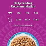 Whiskas Senior 11+ Wet Cat Food in Jelly 12x85g Fish Favourites Pack of 4 view 4