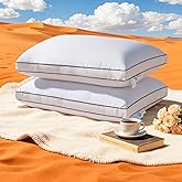 AiAngu Premium Canadian Goose Down Pillow Queen Size Set of 2 Pack, 900+ Fill Power, 100% Cotton Shell, Luxury Hotel Quality Bed Feather Pillow for Side Back Stomach Sleepers(White,20" x 30")