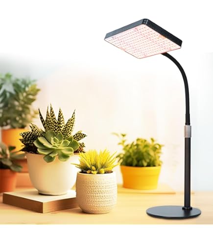 Amazon.com : FECiDA 2026 Floor Lamp Grow Light, Standing Grow