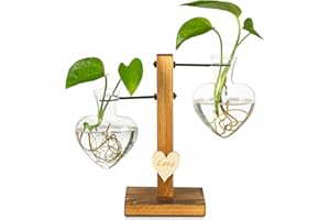 Kingbuy Hydroponic Glass Vase Vintage Desktop Plant Terrarium Planter Bulb Vase Water Planting Propagation Vase Planters Hydroponics Plants with Retro Wooden Stand Home Garden. (E（2 Heart Vase）)