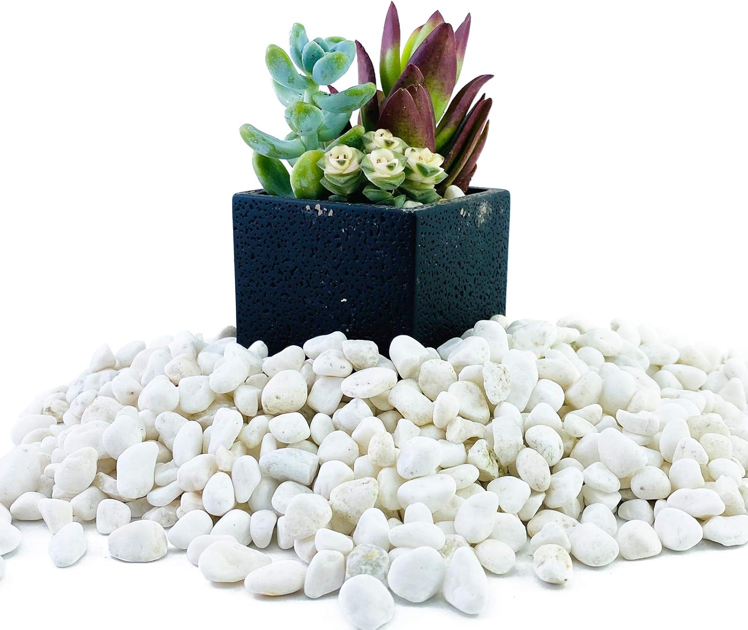 ROOFOO 1.6LB Mini White Natural River Pebbles Rocks Stones Garden Gravel Vase Fillers for Aquarium,Fish Tank,Terrarium, Fairy Gardening,Top Dressing,Bonsai,Zen Garden,Air Plants Succulent,Soil Cover