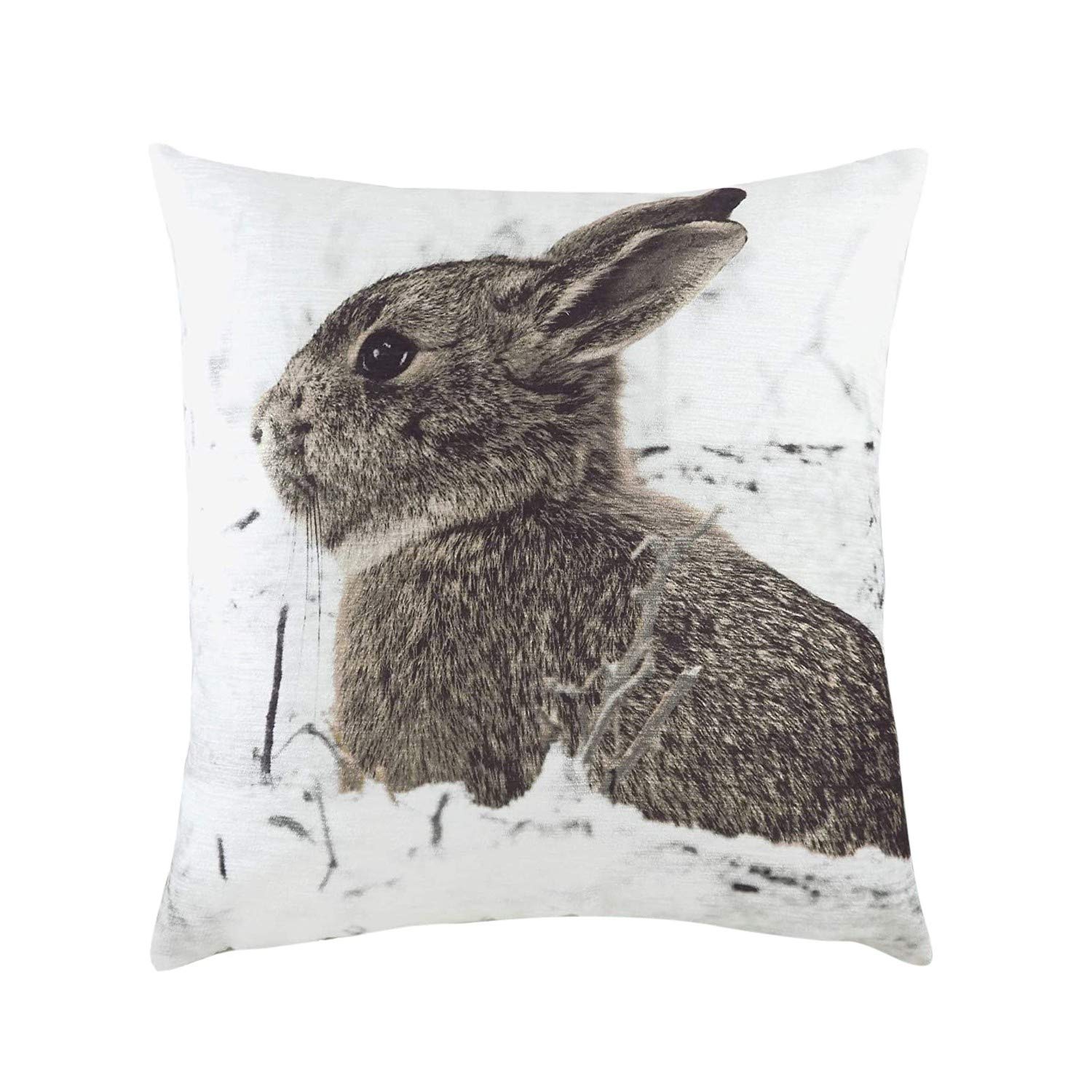 Evans Lichfield Photo Hare Cushion Cover, Multi, 43 x 43cm