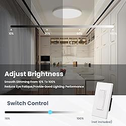 NIORSUN 12 inch Flush Mount LED Ceiling Light