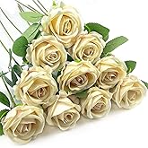 DECEED 10 PCS Artificial Roses with Long Stems Silk Flowers Realistic Foam Flowers Fake Roses for Valentine's Day Home Wedding Halloween Decor(Champagne)