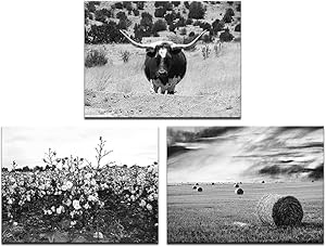 LevvArts 3 Piece Wall Art Black and White Texas Countryside Landscape Pictures Longhorn Cattle Hay Bales Cotton Field Photo Canvas Art Painting for Home Farmhouse Decor Framed Ready to Hang