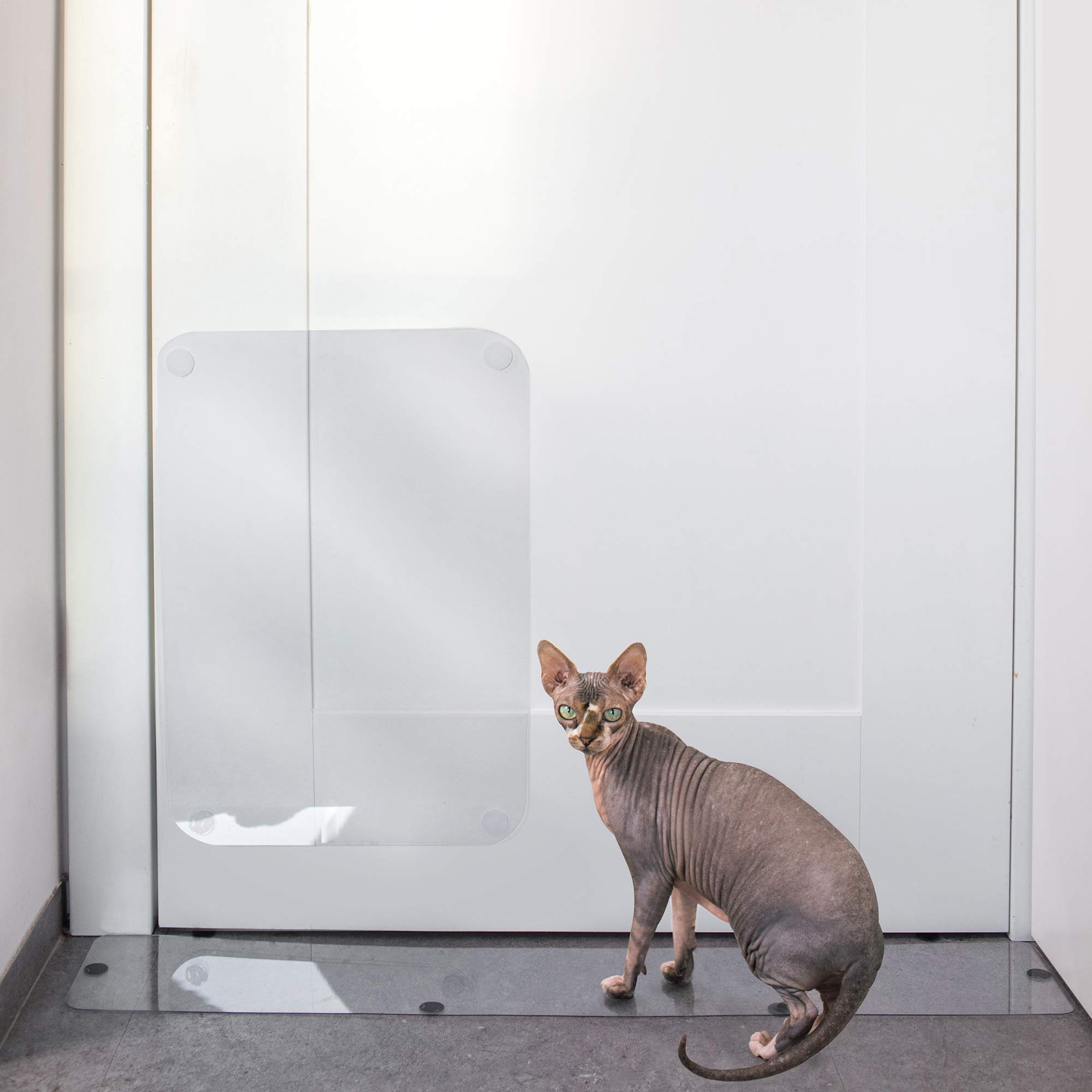 carpet cat scratch protector