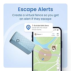 Tractive Smart Cat GPS Tracker | Real-Time Location