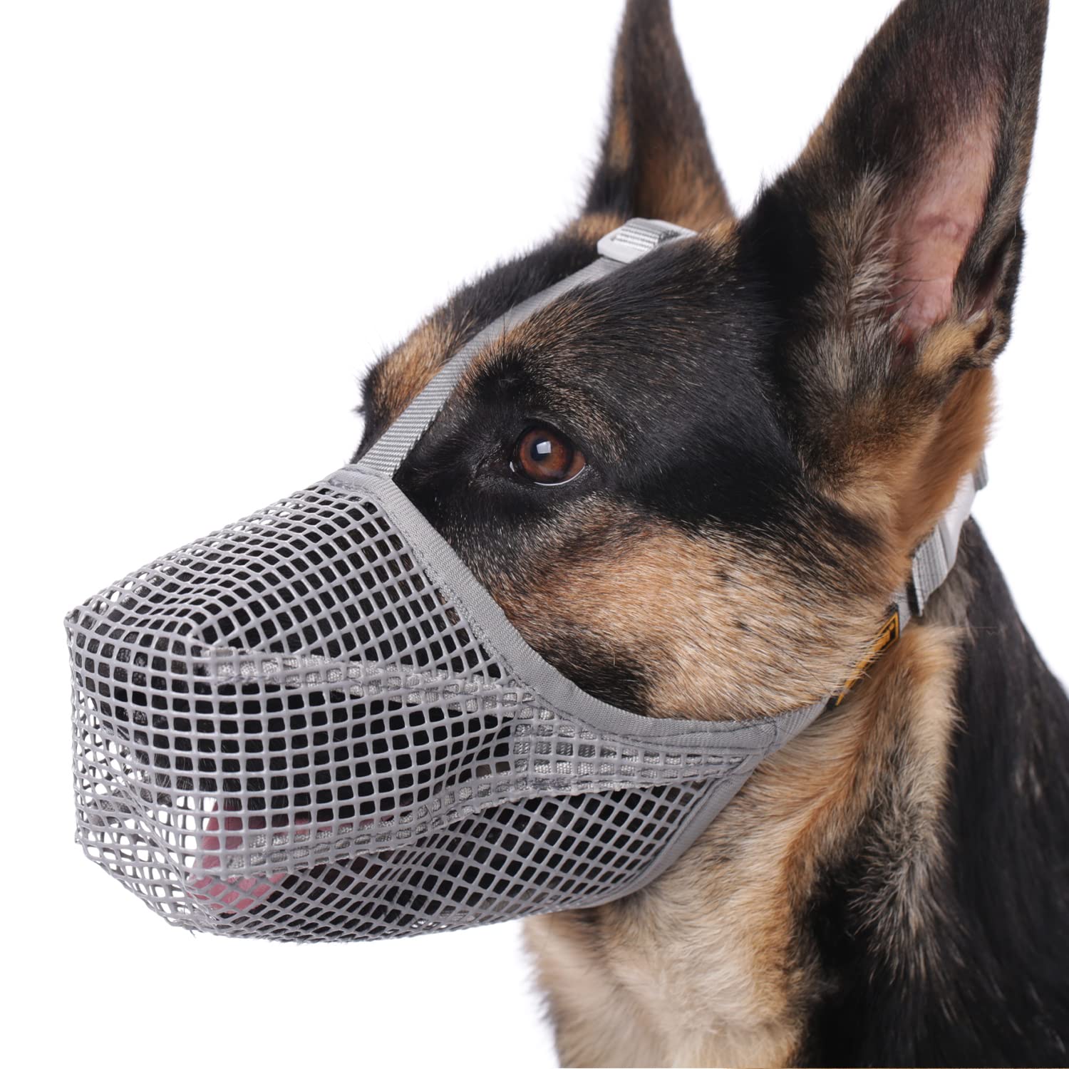 Photo 1 of Mayerzon Dog Muzzle, Patented Mesh Muzzles for Small Medium Large Dogs, Soft Covered Mouth Guard with Adjustable Straps, Prevent Biting Chewing and Licking