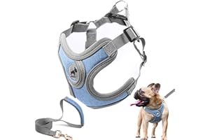 SAEGYPET Dog Harness with Leash Set, No Pull Adjustable Step in with Breathable Padded Puppy Harness for Small Medium Large D