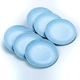 SIN-DERIA Blue Melamine Plates, 10Inch, Set of 6