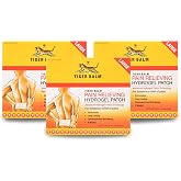 Tiger Balm Pain Relieving Patch Large 4 Each (Pack of 3)