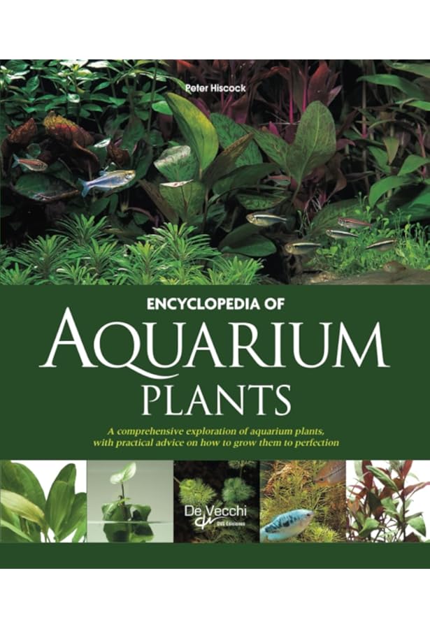 Nature Aquarium World: How You Can Make A Most Beautiful Aquarium