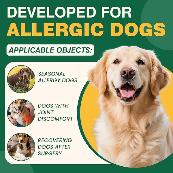 DOG ALLERGY CHEWS 400PCS WITH TURMERIC, DIGESTIVE ENZYMES SUPPORTS SEASONAL ALLERGY RELIEF, ITCHY SKIN, JOINT HEALTH ANTI-ITCH SUPPLEMENT FOR ALLERGIC DOGS AIDS POST-SURGERY RECOVERY SENIOR MOBILITY