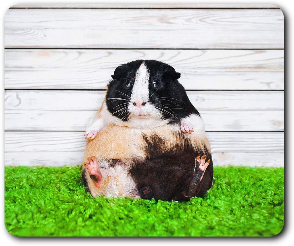 Destination Vinyl ltd Comfortable Mouse Mat, Funny Guinea Pig Piglet 23.5 x 19.6 cm (9.3 x 7.7 inches) for Computer & Laptop