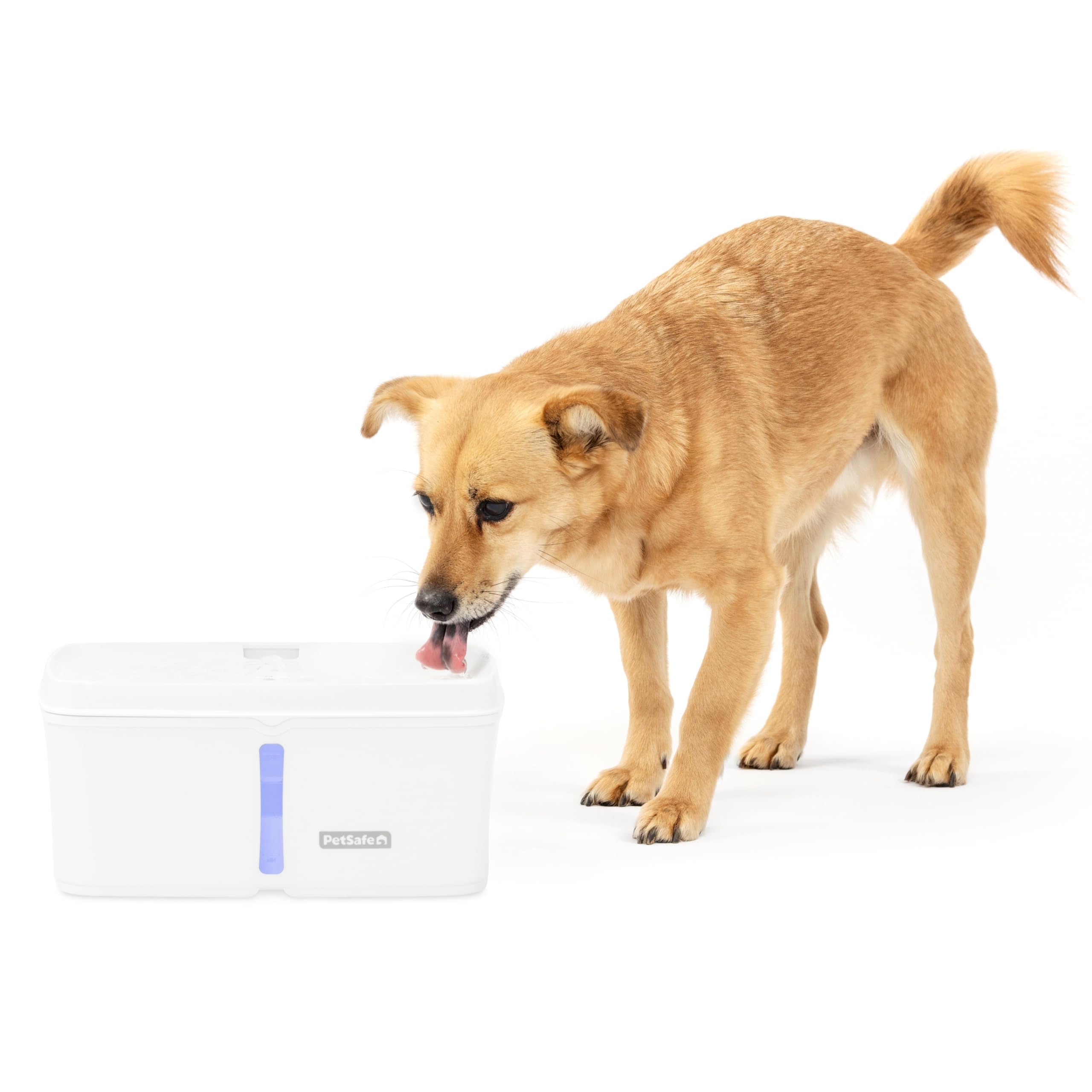 PetSafe Viva Pet Fountain for Cats and Small Dogs – 4.1L/140 oz, Indoor Cat Water Fountain with Ultra Quiet Pump, Dishwasher Safe, Easy to Clean, Water Filters Included