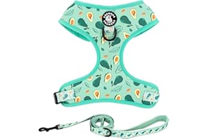 COOWONE No Pull Dog Cat Harness and Leash Set, Puppia Soft Mesh Padded and Adjustable Puppy Vest Cute Pink Dog Clothes Escape Proof Easy Walk Dog Accessories for Small Medium Large Dogs Kitten