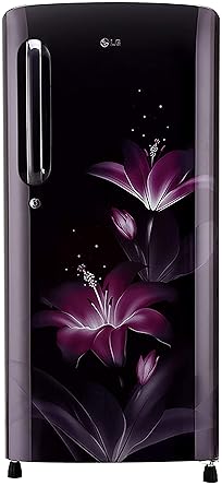 LG 190 L 4 Star Inverter Direct-Cool Single Door Refrigerator (GL-B201APGY, Purple Glow)