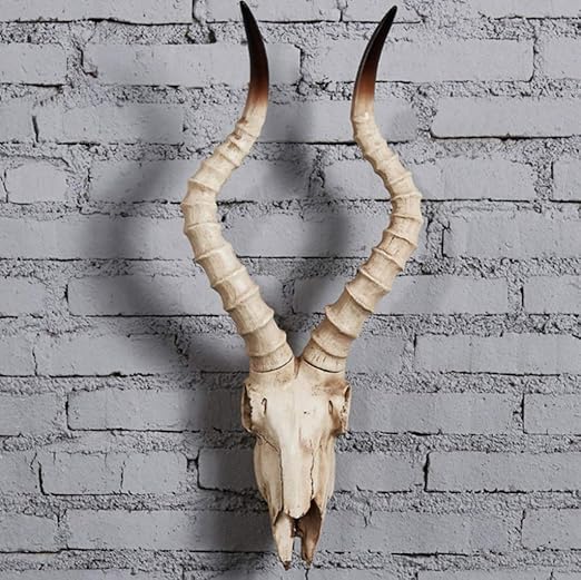 Head Sculptures Bull Skull Wall Sculpture Durable Resin Longhorn