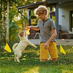 Zozen 50Pack Yellow Marking Flags, Writable/15x4x5