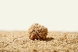 Cat's Best Original Clumping Wood Litter 13kg – OkoPlus view 3