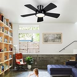 Ceiling Fans with Lights,Modern Low Profile Ceiling