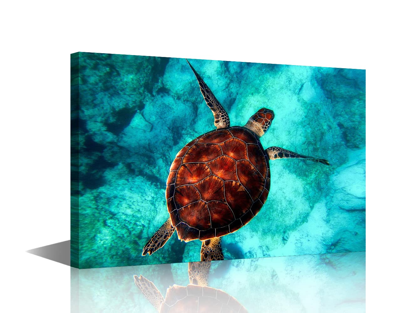 Canvas Wall Art Turtle Bathroom Prints Marine Animal Print Painting Artwork for Bedroom Living Room Home Farmhouse Decor Stretched and Chic Framed Ready to Hang 16x24inch (40x60cm) — image 1