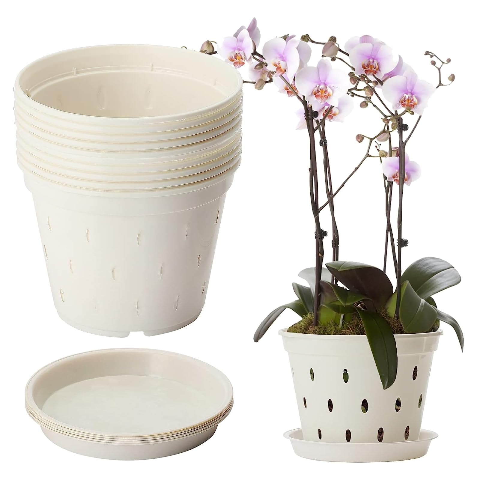 BestAlice 10 Pack Orchid Pot, 5.6 Inch Orchid Pots with Holes and Saucers, Clear Plastic Orchid Pots for Plant and Repotting, Garden Planters Pots for Home Office