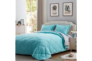 NexHome Lightweight Comforter Set Queen Size, Down Alternative Solid Comforter Set Thin Microfiber Reversible Turquoise Summer Bedding Comforter with 2 Pillow Sham (Queen, Aqua Blue/Light Grey)