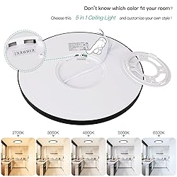 Brightever Black LED Flush Mount Ceiling Light
