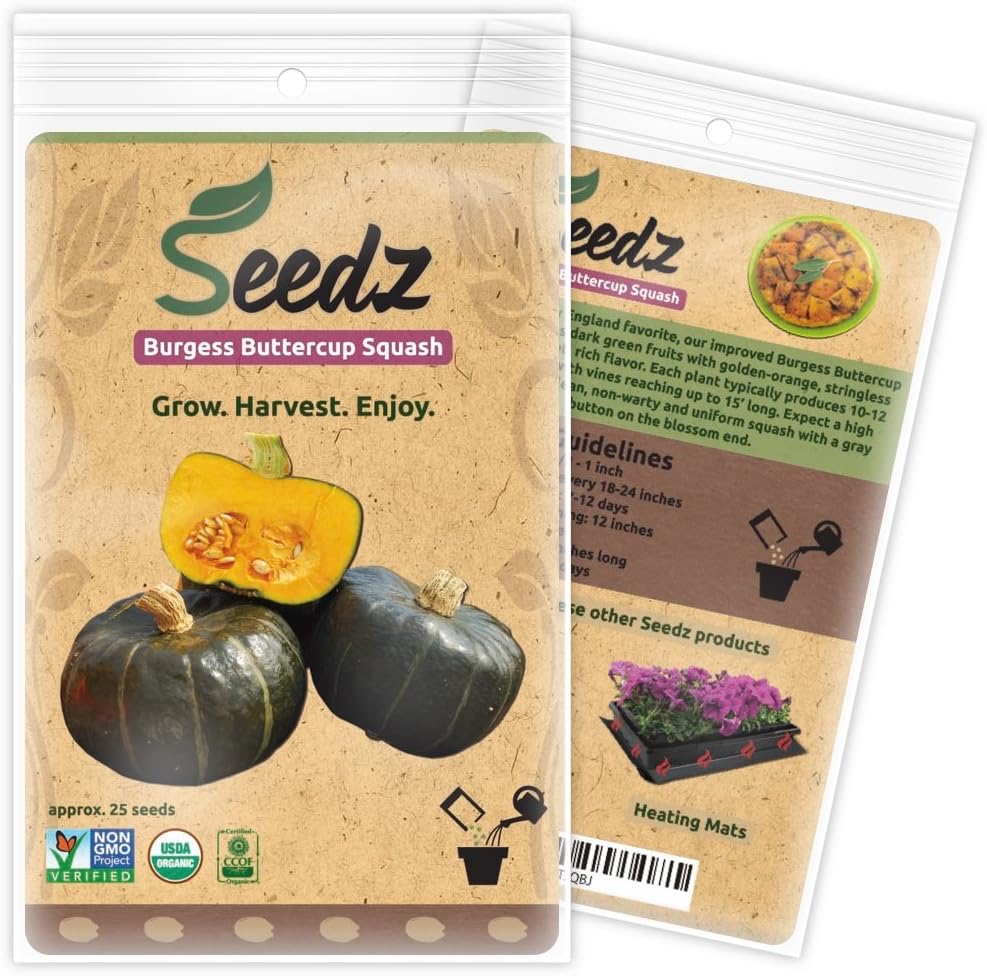 Organic Squash Seeds, Appr. 25, Burgess Buttercup Squash, Heirloom Vegetable Seeds, Certified Organic, Non GMO, Non Hybrid, USA