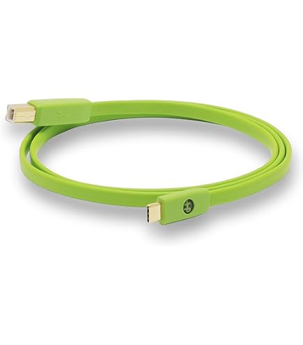 Amazon.com: NEO by Oyaide D+ USB Class A – Hi-Speed and