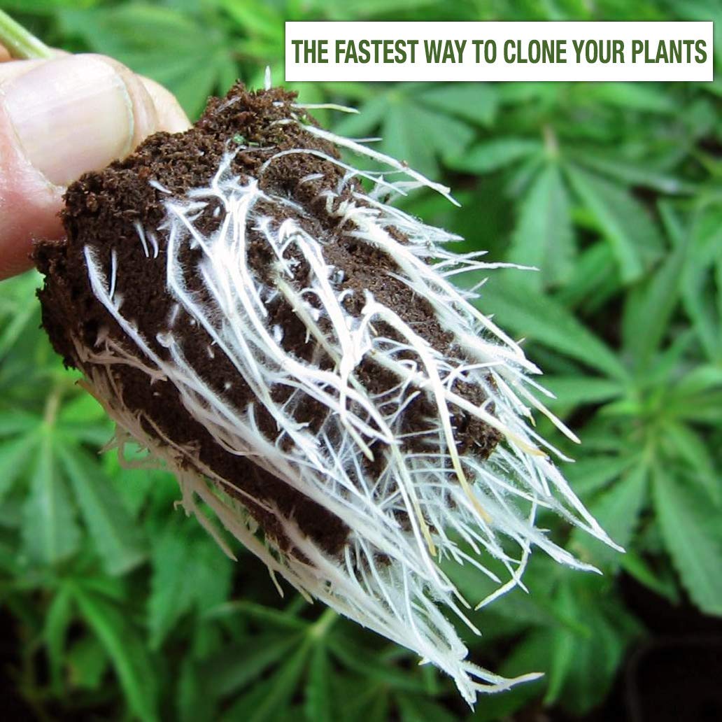 Hormex Rooting Hormone Powder 16 for Difficult to Root Woody Plants