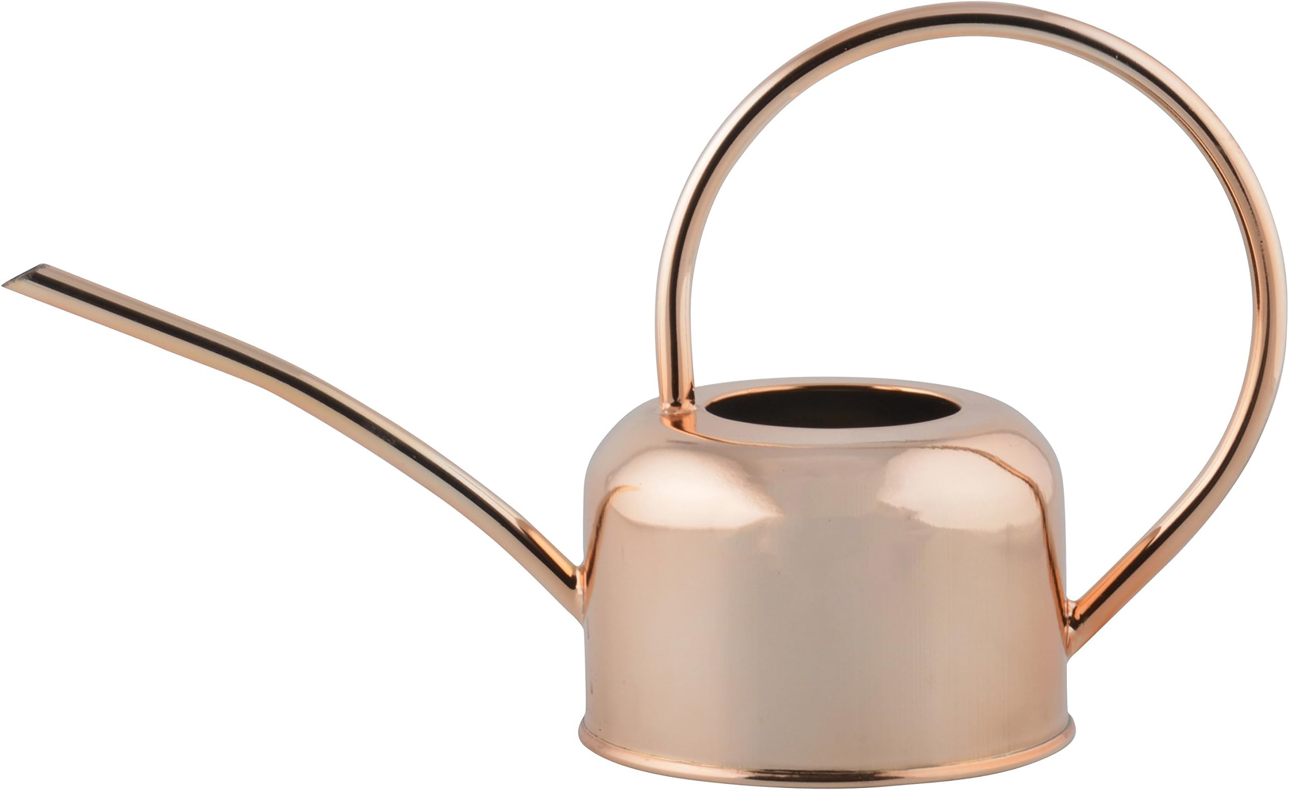 Fallen Fruits Copper Plated Watering Can