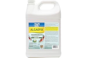 API POND ALGAEFIX Algae Control 1-Gallon Bottle