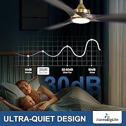 BvenuBigLite Ceiling Fan with Light Modern: 52 Inch