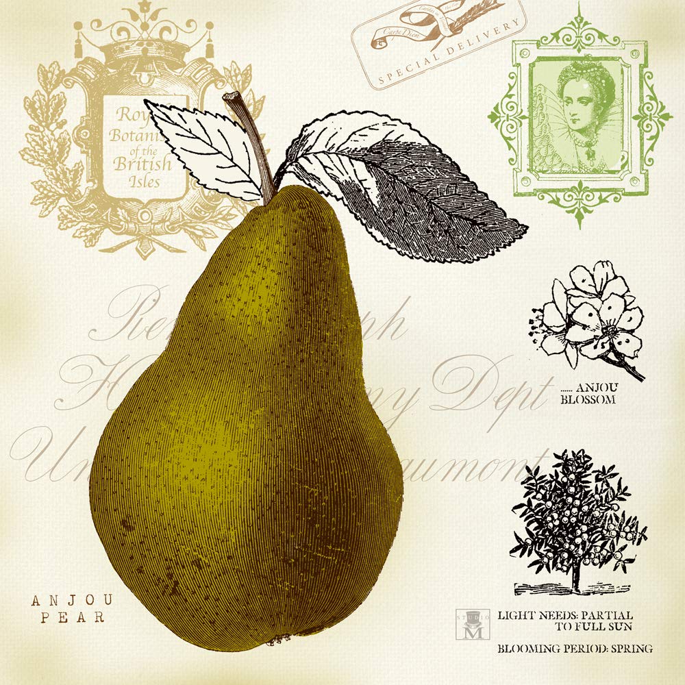 International Graphics - Finished Picture - Studio Mousseau - ''Pear Notes''- 30 x 30 cm - Direct printing on acrylic glass