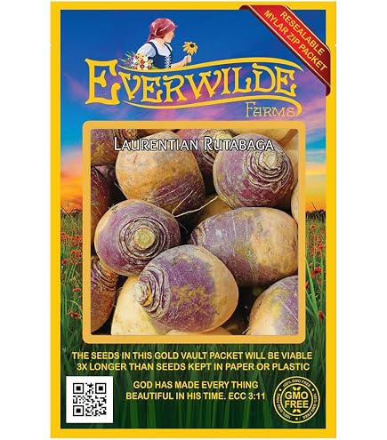 1 Lb Purple Top White Globe Turnip Seeds – Heirloom, Open Pollinated, Everwilde Farms Packet