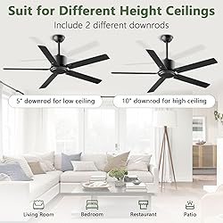BECLOG Ceiling Fan 60" Outdoor/Indoor, Ceiling Fans
